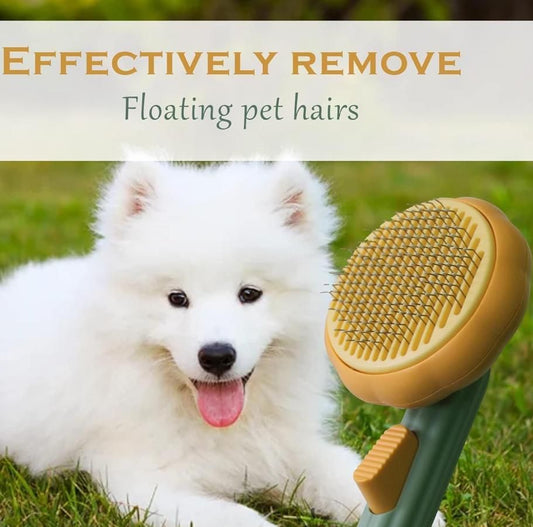 Pets Hair Removal Pumpkin Brush